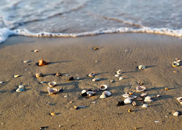 Daire In 37070 Bibione